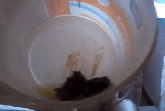 Kleine Kaviar Schlampe scheisst in Eimer